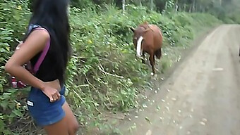 Thai Teen Heatherdeep Rides A Big Horse And Gets Creampied